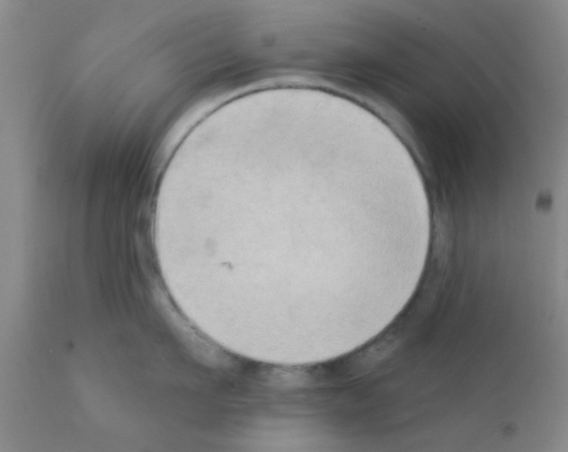 X0000111520911200908251134