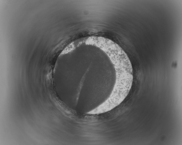 X0000111520914200908251133