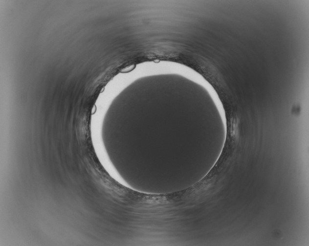 X0000111520915200908251133