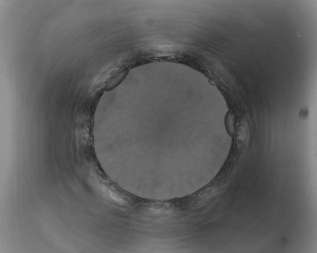 X0000111520916200908251133