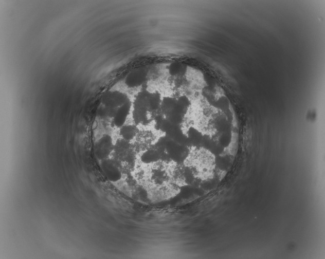 X0000111520917200908251133