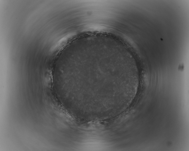 X0000111520918200908251133