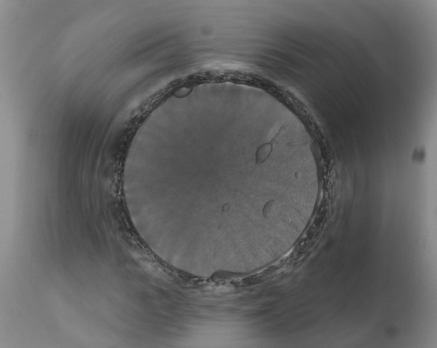 X0000111520919200908251133