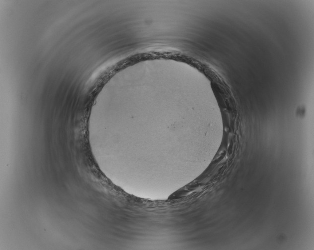 X0000111520920200908251133