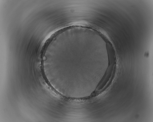 X0000111520923200908251133