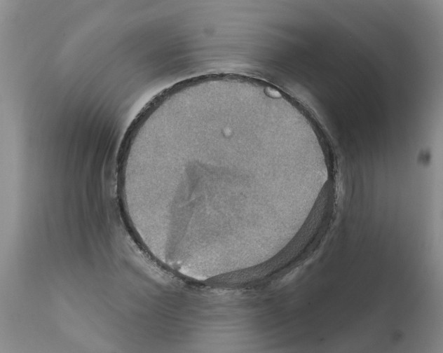 X0000111520924200908251133