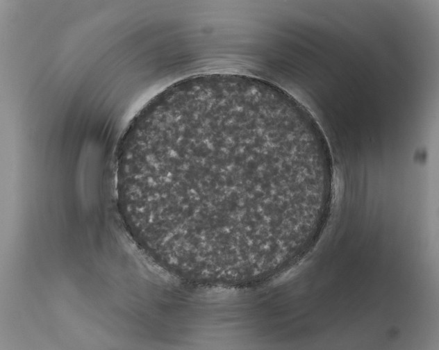 X0000111520925200908251133