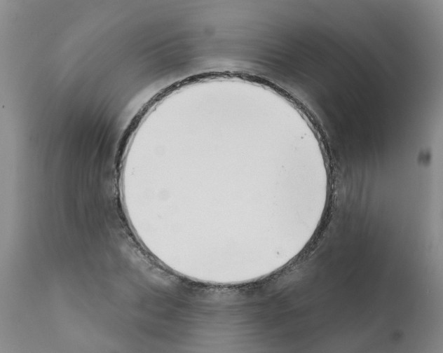 X0000111520927200908251134