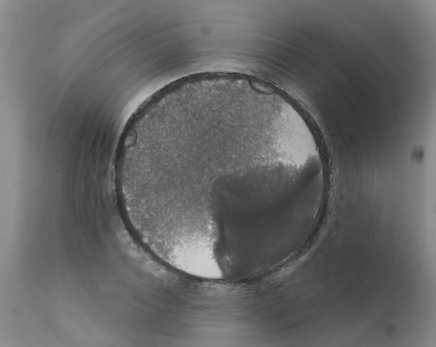 X0000111520928200908251134