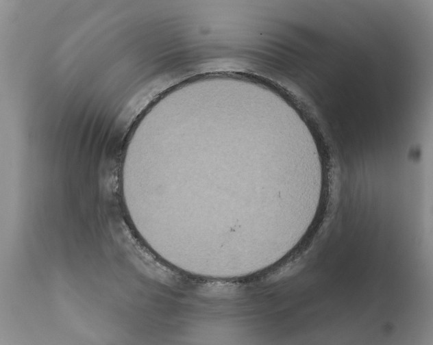 X0000111520929200908251134