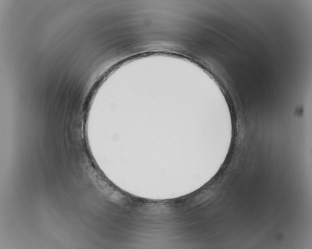 X0000111520931200908251134