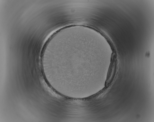 X0000111520932200908251134