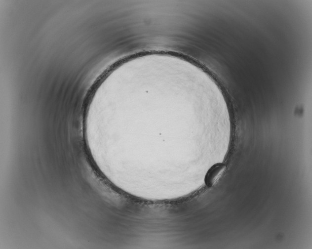 X0000111520934200908251134