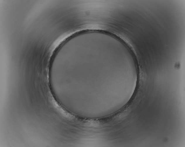 X0000111520935200908251134
