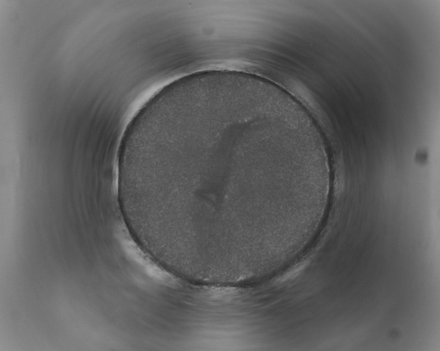 X0000111520940200908251134