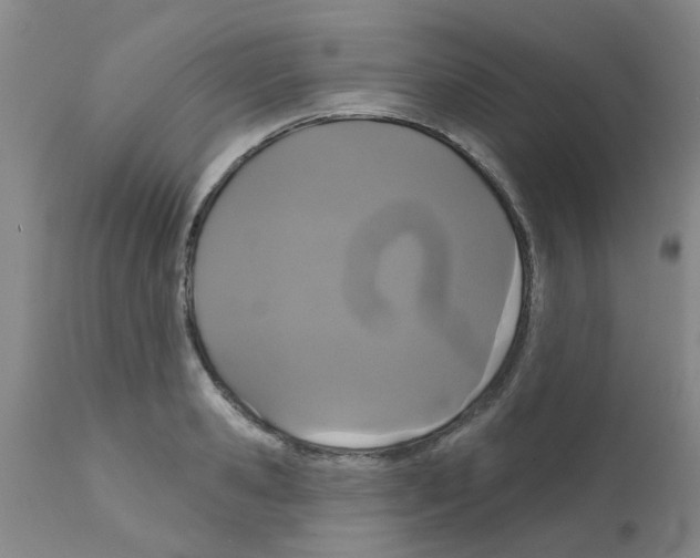 X0000111520941200908251134