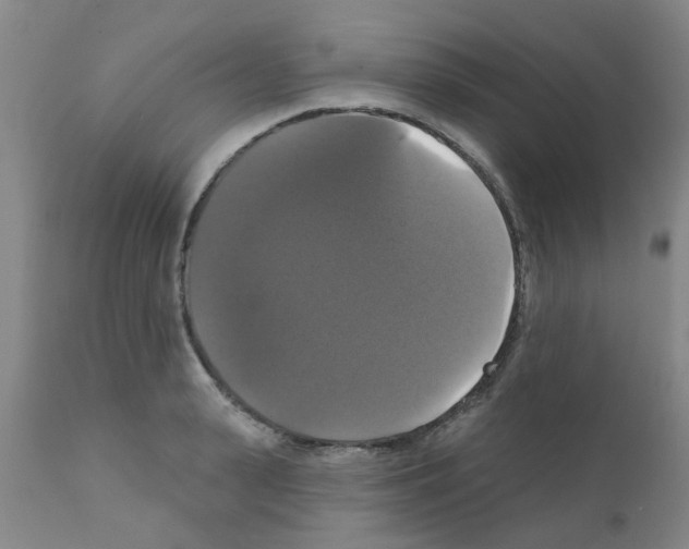X0000111520943200908251134