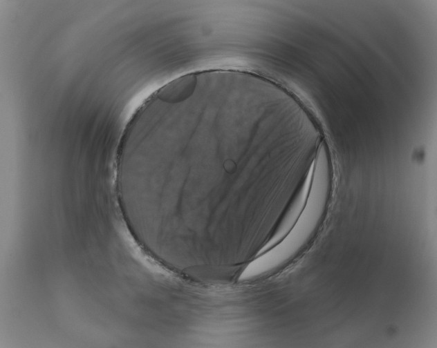 X0000111520944200908251134