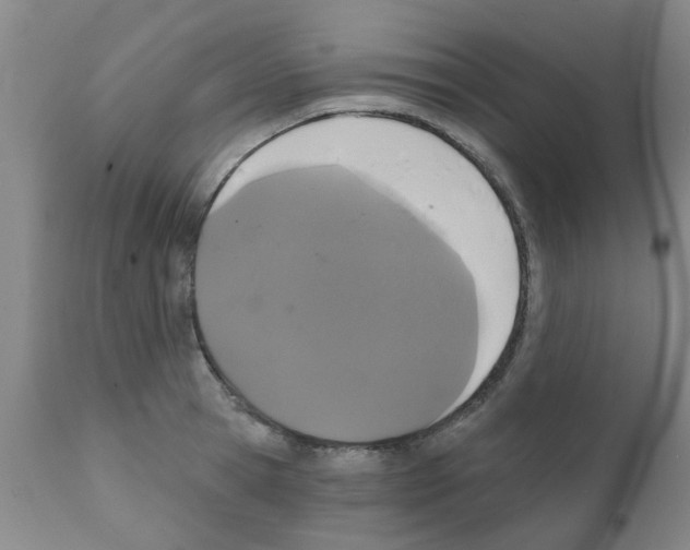 X0000111520945200908251134