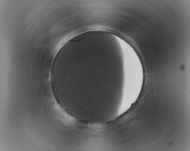 X0000111520946200908251134