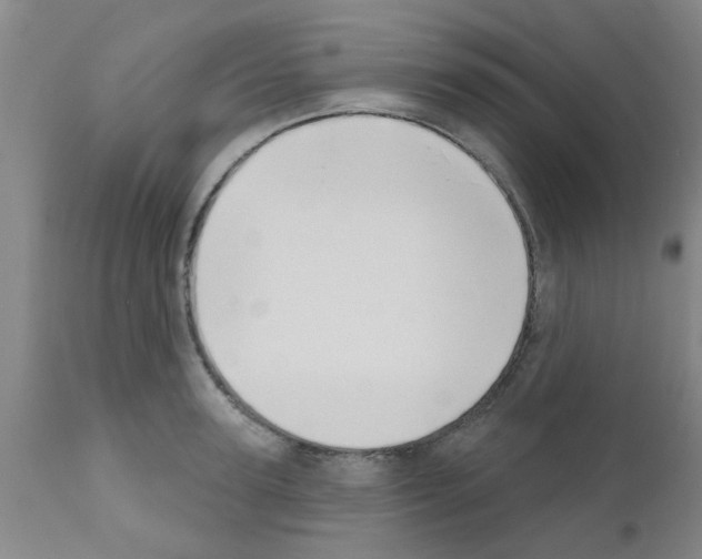 X0000111520947200908251134