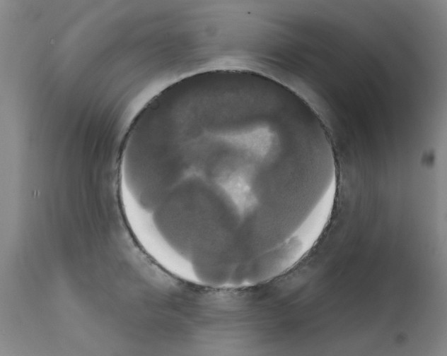 X0000111520950200908251134