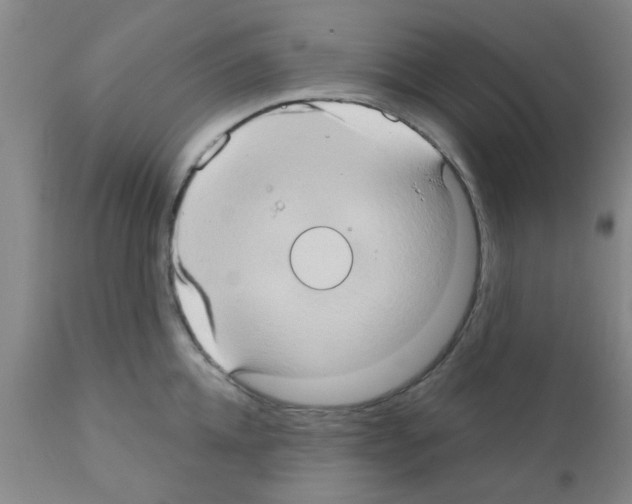X0000111520952200908251134