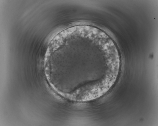 X0000111520953200908251134