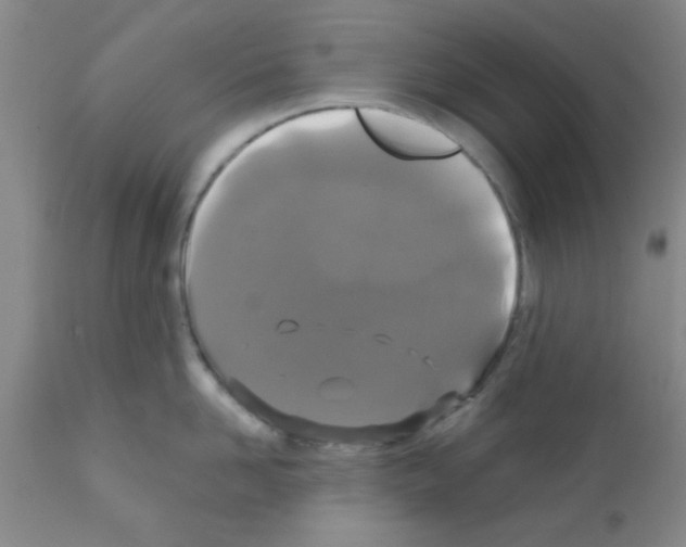 X0000111520958200908251134