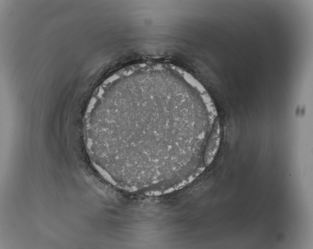 X0000111520961200908251133