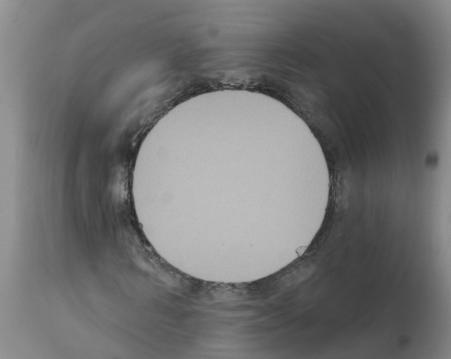 X0000111520962200908251133
