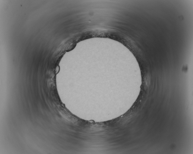 X0000111520964200908251133