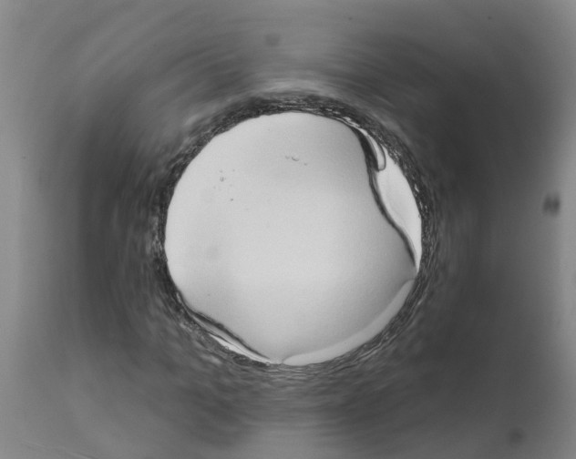 X0000111520965200908251133