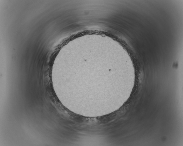 X0000111520968200908251133