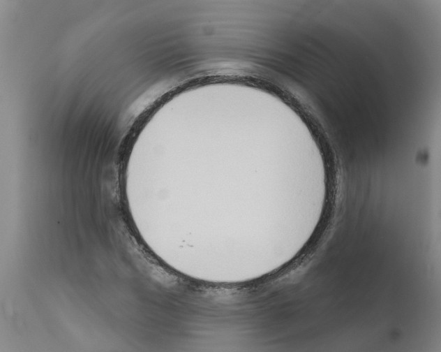 X0000111520970200908251133