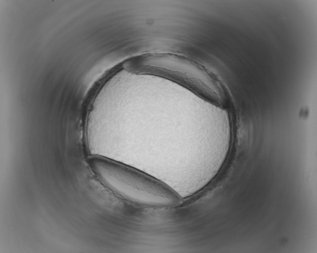 X0000111520973200908251133