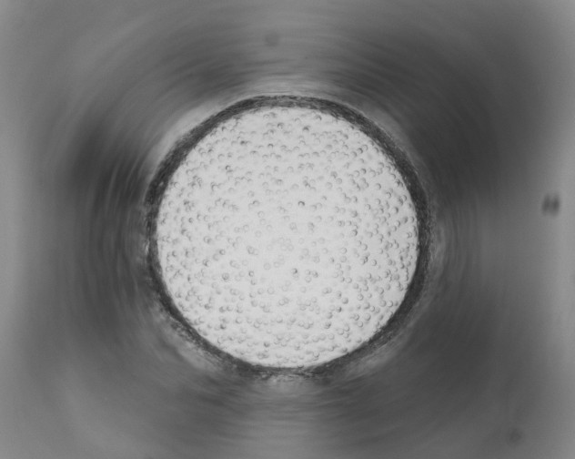 X0000111520974200908251133