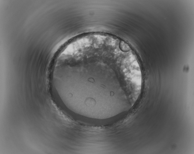X0000111520975200908251133