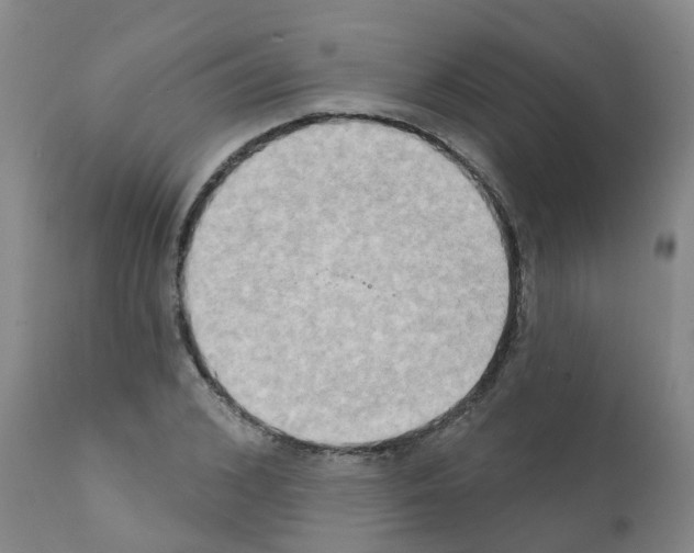 X0000111520976200908251133