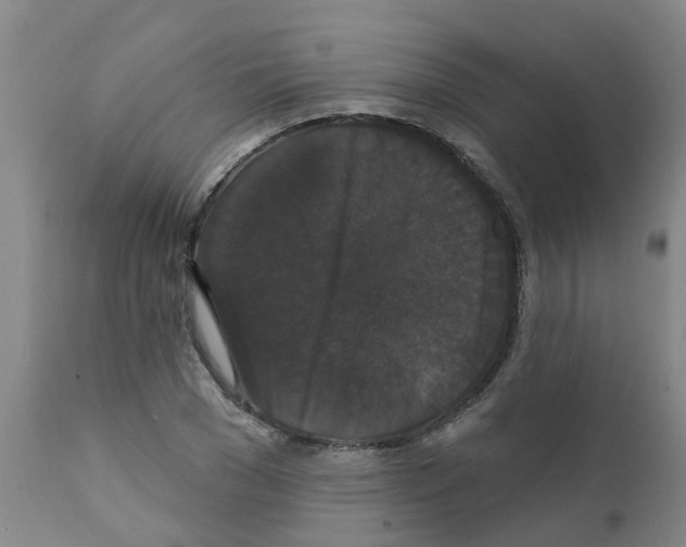 X0000111520977200908251133