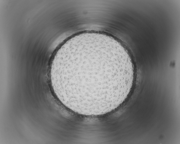X0000111520978200908251133