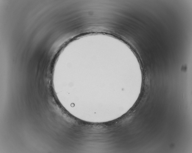 X0000111520979200908251133