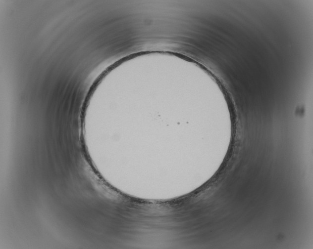 X0000111520980200908251133