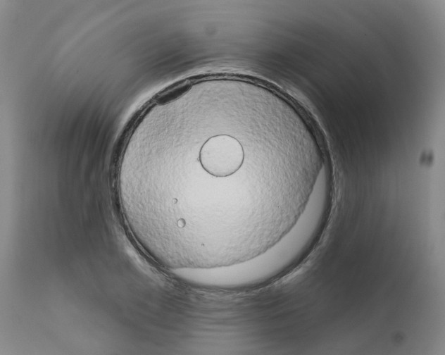 X0000111520981200908251133