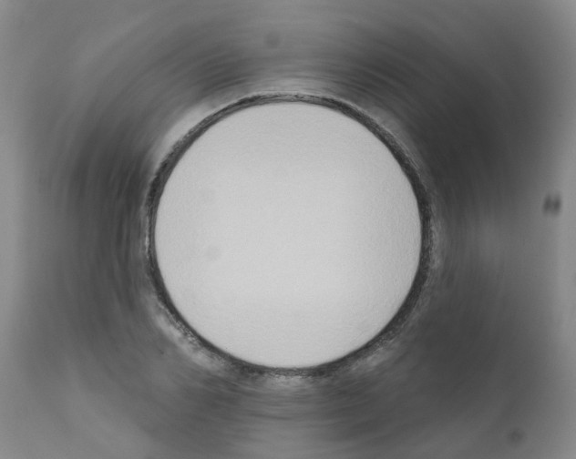 X0000111520982200908251133