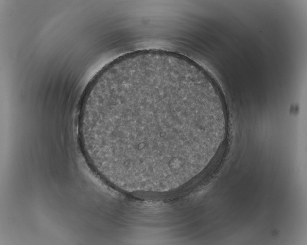 X0000111520983200908251133