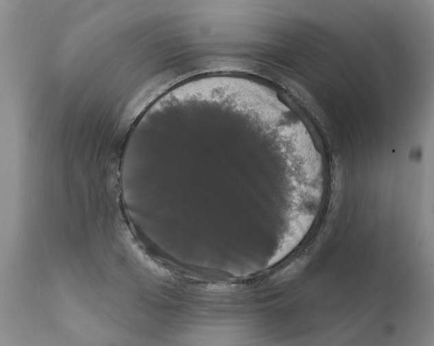 X0000111520985200908251133