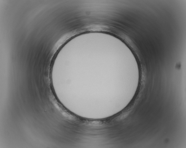X0000111520986200908251133