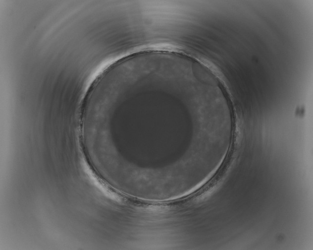 X0000111520989200908251133