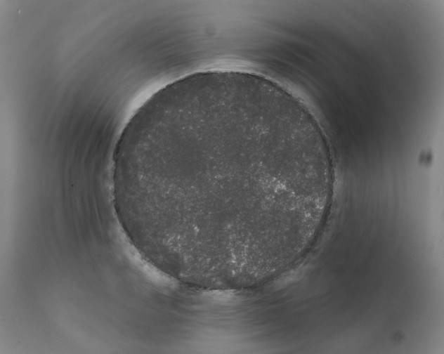 X0000111520990200908251133